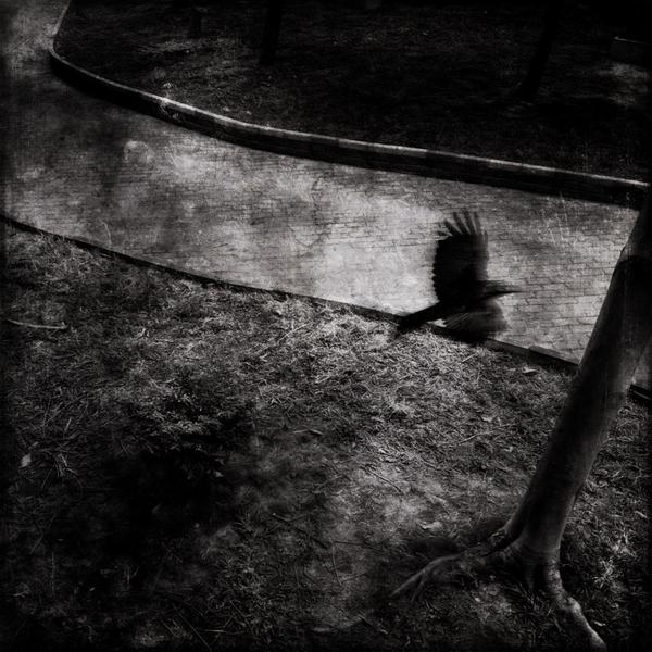 呼叫TA急速系统